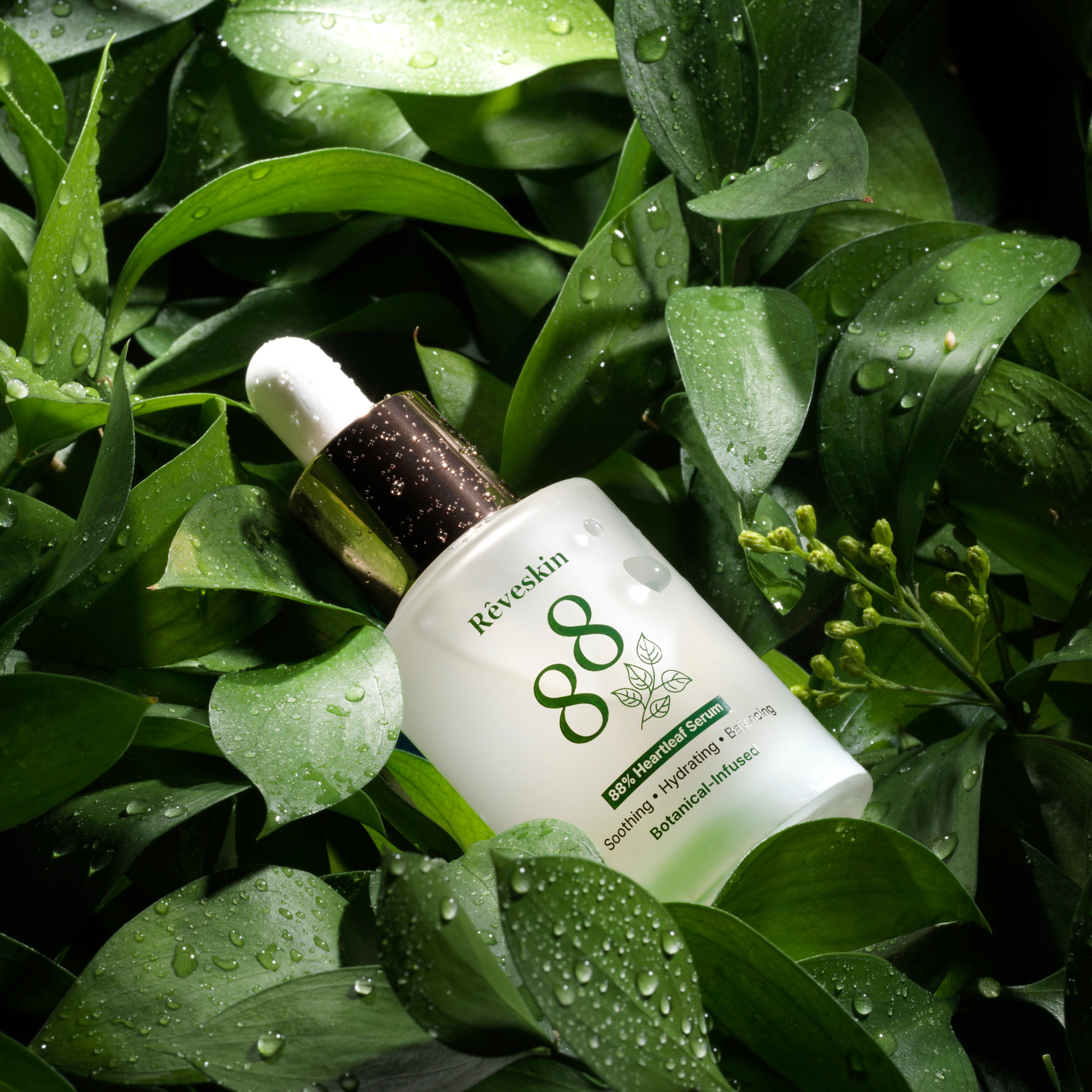 Rêveskin Heartleaf 88 Glow Serum Hover